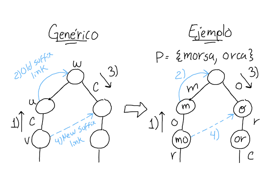 Figura 3:  Ejemplo de construcción de suffix_link en un _trie_ construido con los patrones {morsa, orca}.
