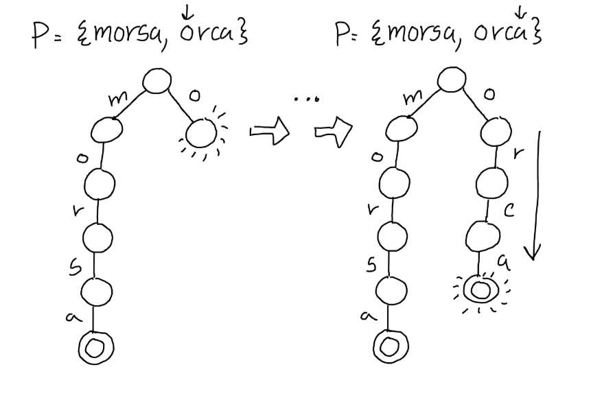 Figura 1: Ejemplo de construcción de un _trie_ con conjunto de patrones {morsa, orca}.